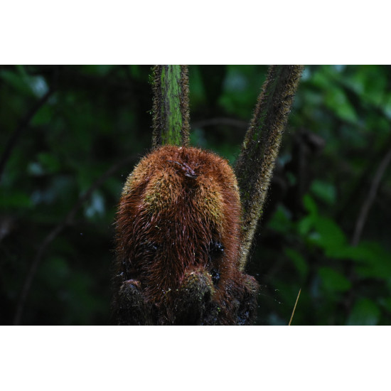 Tour de Fotografía de Naturaleza