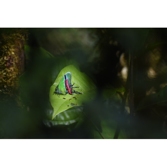 Tour de Fotografía de Naturaleza