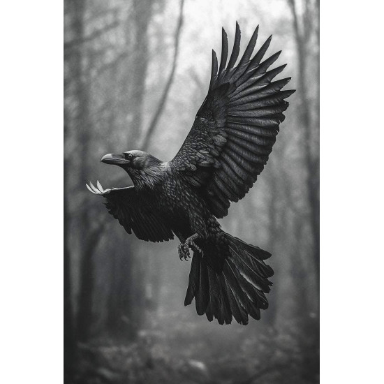 Full-Day Specialized Birdwatching Walk