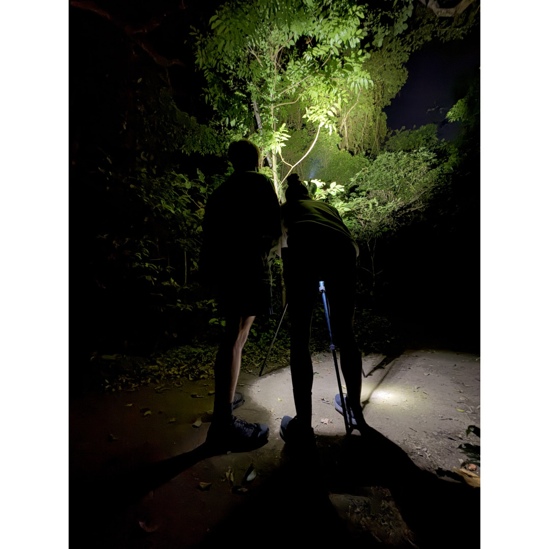 Caminata Nocturna con Visores Infrarrojos