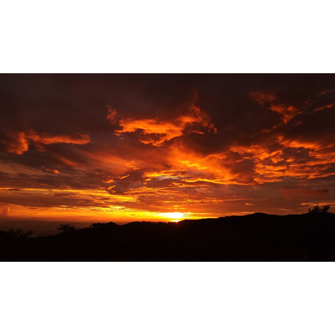 Nature Photography Tour