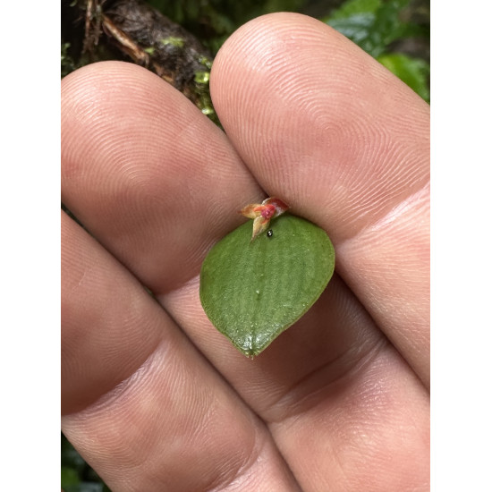 Tour de Fotografía de Naturaleza
