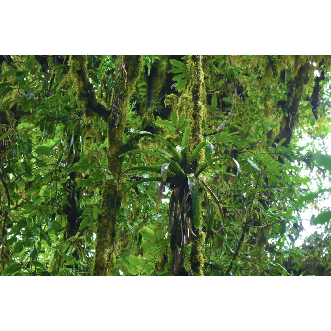 Nature Photography Tour