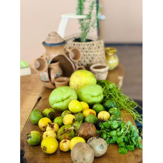 Sabores del Bosque: Vivencia Gastronómica y Etnobotánica