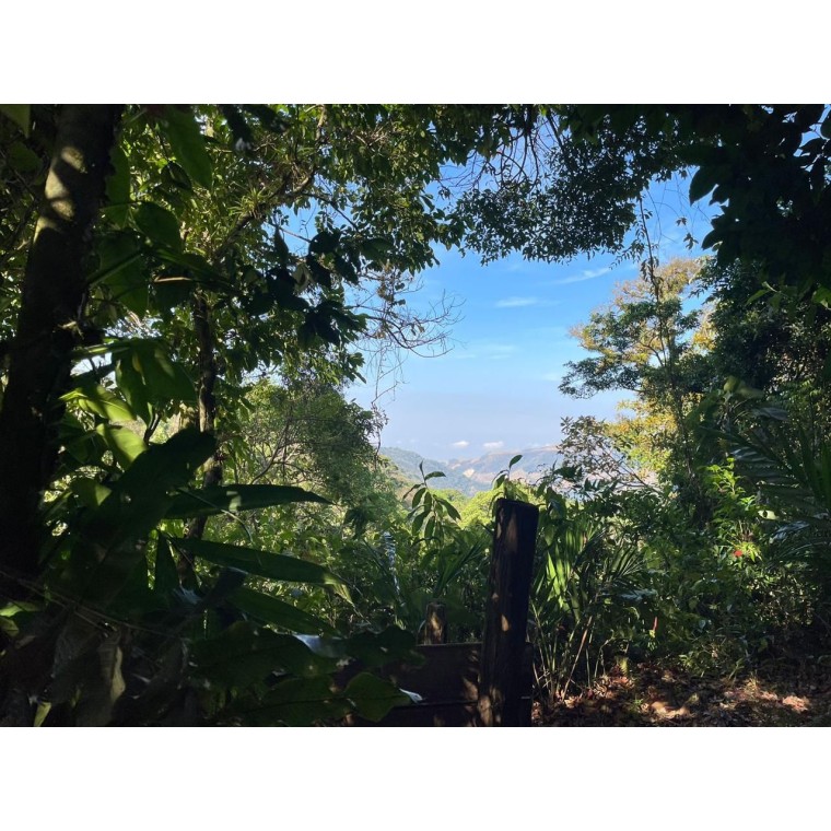Monteverde desde Adentro:...