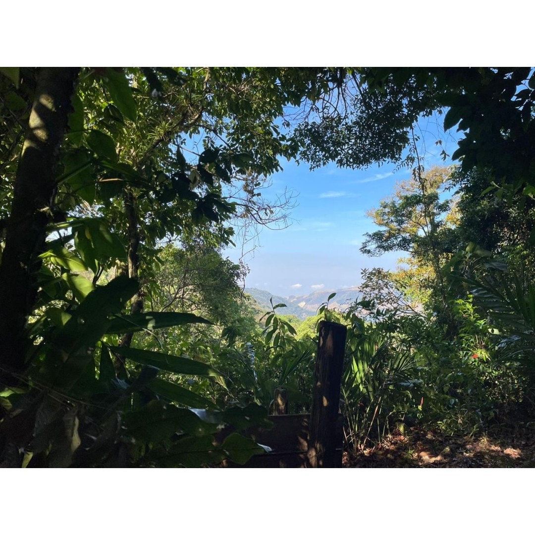 Monteverde desde Adentro: Vivencia Rural Comunitaria