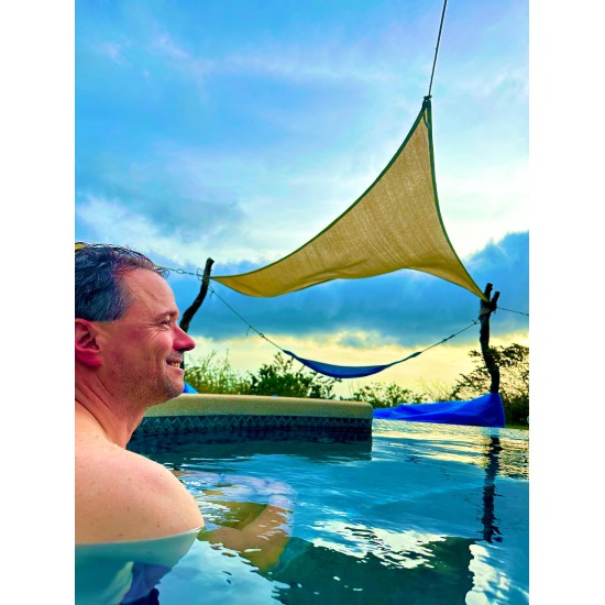 Rituals of the Forest: Nature-Based Wellness Day