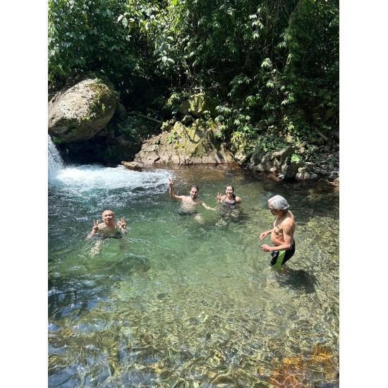 Sanación Natural: Día de Bienestar en el Bosque