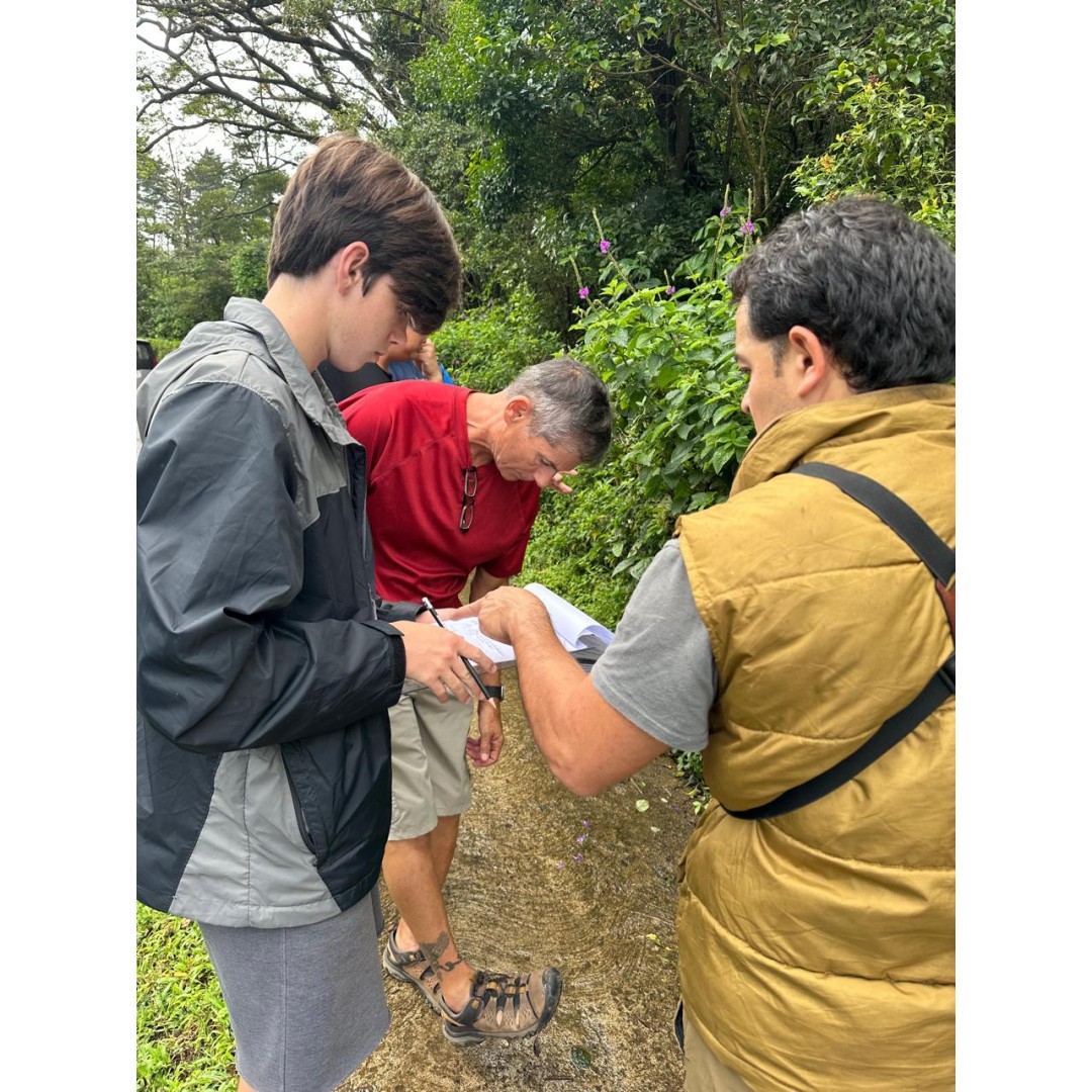 En búsqueda de especies únicas de Monteverde