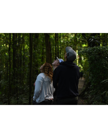 Your Morning or Afternoon in Monteverde